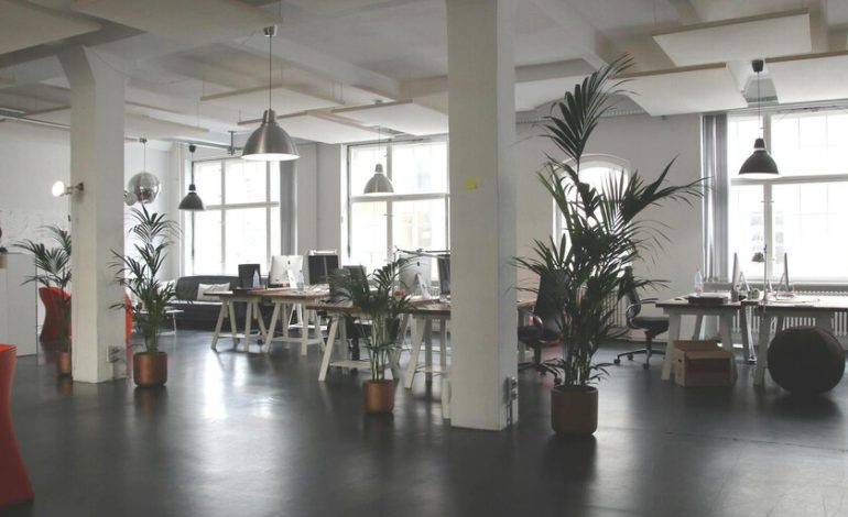 Este CEO está feliz de aliviar a los empleados y reemplazarlos con AI

 – La nación