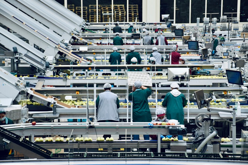La industria alimentaria ha estado viviendo su mayor caída en el precio desde 2014. Hay un sospechoso claro: las marcas blancas

 – La nación