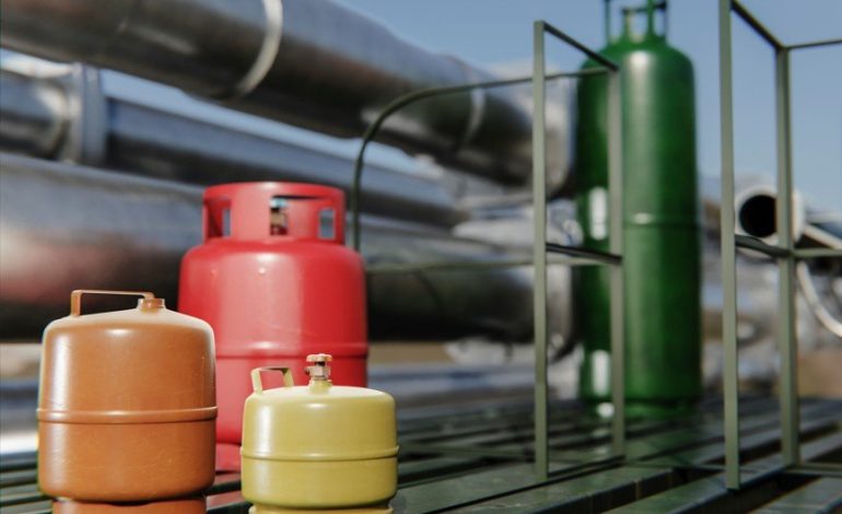 Crusa comienza al desafío para promover soluciones innovadoras contra las versiones de metano
– La nacion