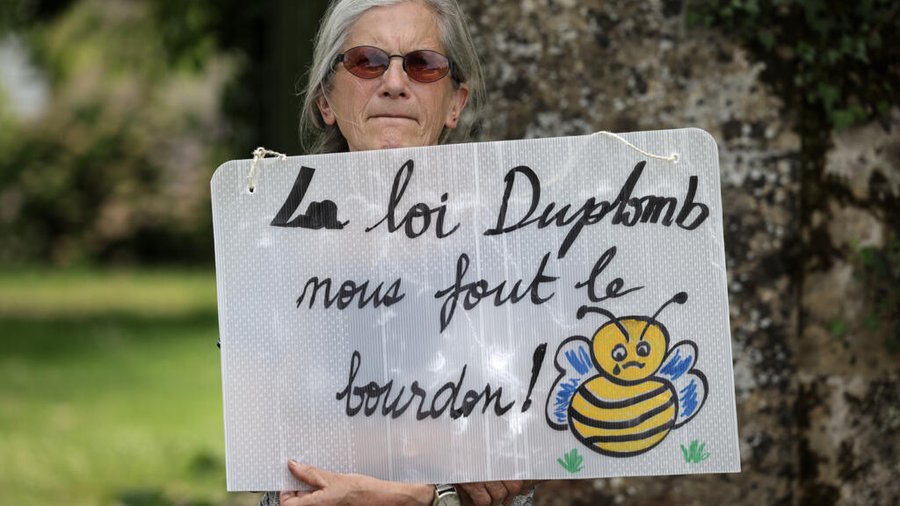 El Consejo Constitucional de Francia rechaza el refuerzo de un pesticida que mata a las abejas

 – La nación