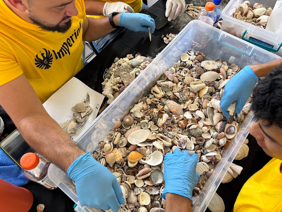 Guanacaste -irport devuelve 1100 kilo conchas al mar en alianza con FIFCO

 – La nacion