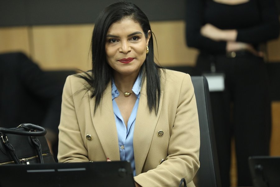 Johana Ordando niega el interés personal en la precaución contra el Tesoro

 – La nación