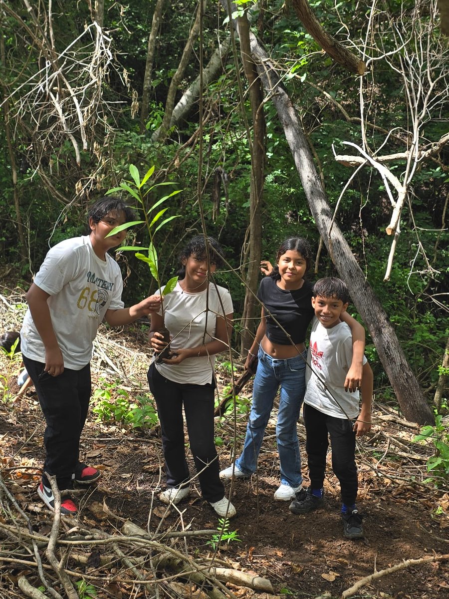 Laboratorio vivo para el monitoreo y la educación ambiental nace en las catalinas

 – La nacion