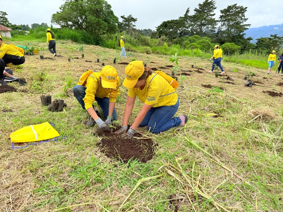 Miles de árboles plantados en el GAM gracias al apoyo ciudadano

 – La nacion