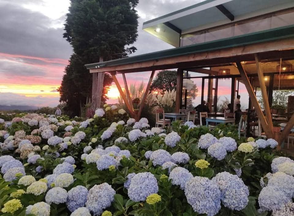 Restaurante Quelita Cuatro madres con promoción especial durante agosto

 – La nacion