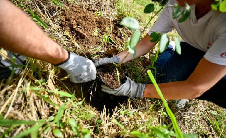 Sistema Coca-Cola Voluntarios siembra 300 árboles para la regeneración forestal y la protección de los recursos hídricos
– La nacion