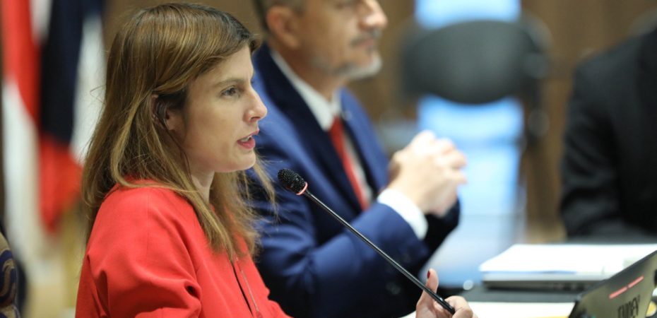 La comisión, que analiza la privacidad del presidente, le pide a la oficina del fiscal la declaración del fabricante Christian Bulgarelli, “testigos de la coron”

 – La nación