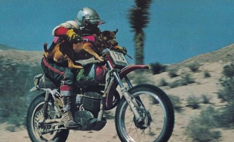 Hace 50 años, un hombre ganó el ‘Dakar de EE. UU.’ Con un co -piloto inusual: su perro
– La nación