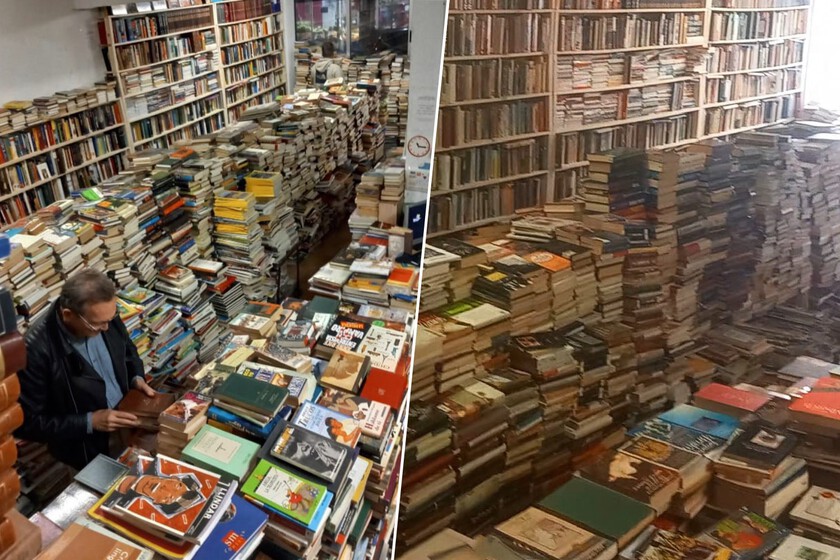 Más de 200,000 libros para 11 euros por año. Es ‘The Free Books Club’ de Valencia, un paraíso para colgantes de papel impreso

 – La nación