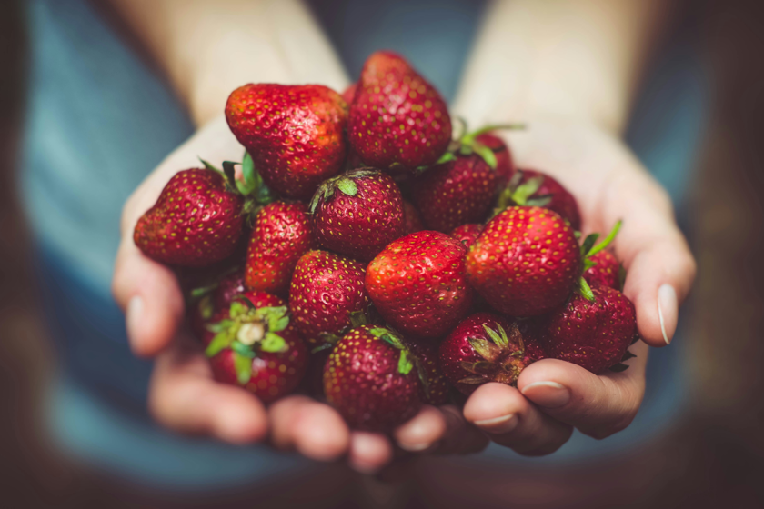 La proteína vegetal gana el juego

 – La nación
