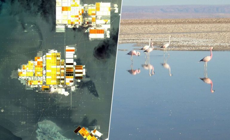 Como el desierto de Atacama muestra el precio ecológico de la descarbonización
– La nación