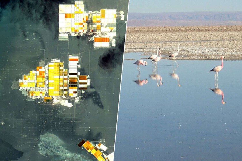 Como el desierto de Atacama muestra el precio ecológico de la descarbonización

 – La nación