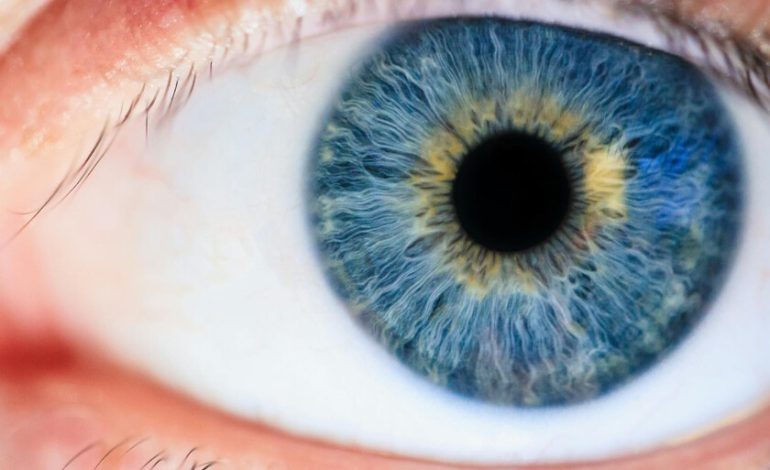 No hay nada que hacer en los ojos azules. Si queremos entender por qué, tenemos que recurrir a la física
– La nación