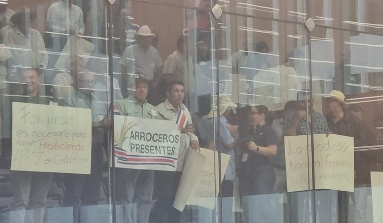 Pilar Cisneros sugiere que los estudiantes de arroz que no son competitivos buscan otras opciones de producción

 – La nación