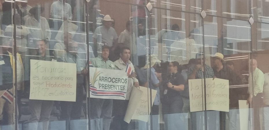 Pilar Cisneros sugiere que los estudiantes de arroz que no son competitivos buscan otras opciones de producción

 – La nación