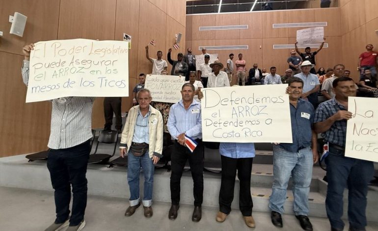 Los productores condenan que los delegados oficiales y sociales -cristianos impiden el proyecto Fronroz

 – La nación