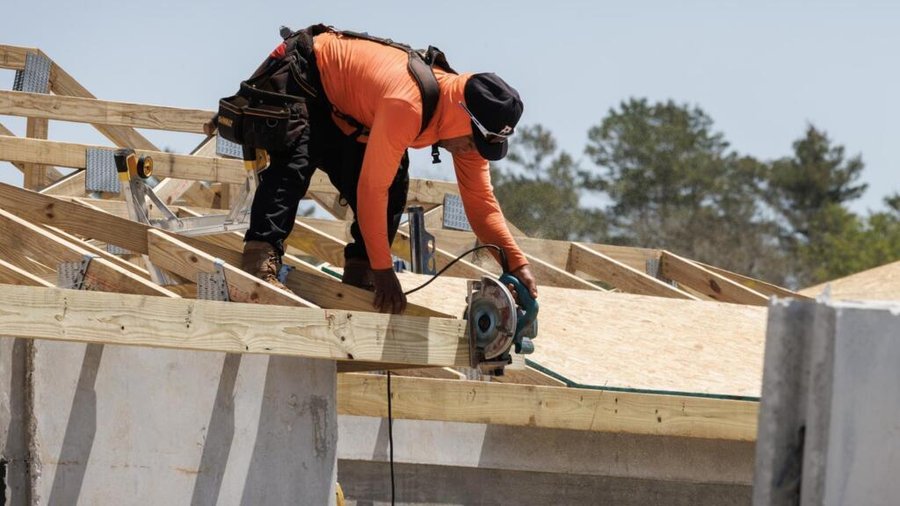 ¿Cuál es el panorama de la fuerza laboral migrante en los Estados Unidos? ¿Con Trump?

 – La nación