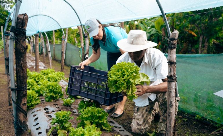 Guanacaste Home Orchards Shine en una serie global de turismo sostenible
– La nacion