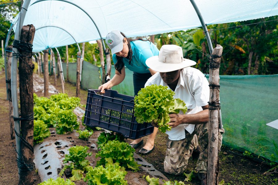 Guanacaste Home Orchards Shine en una serie global de turismo sostenible

 – La nacion