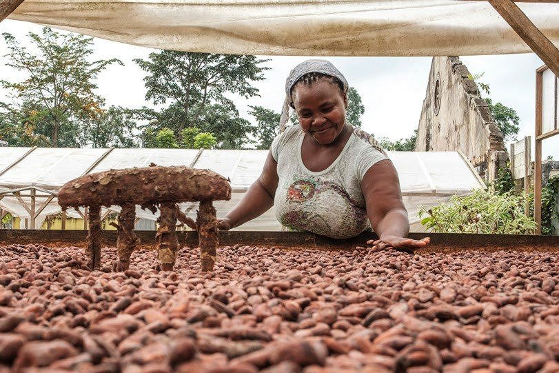 Una isla próspera de agradecimiento al chocolate

 – La nación