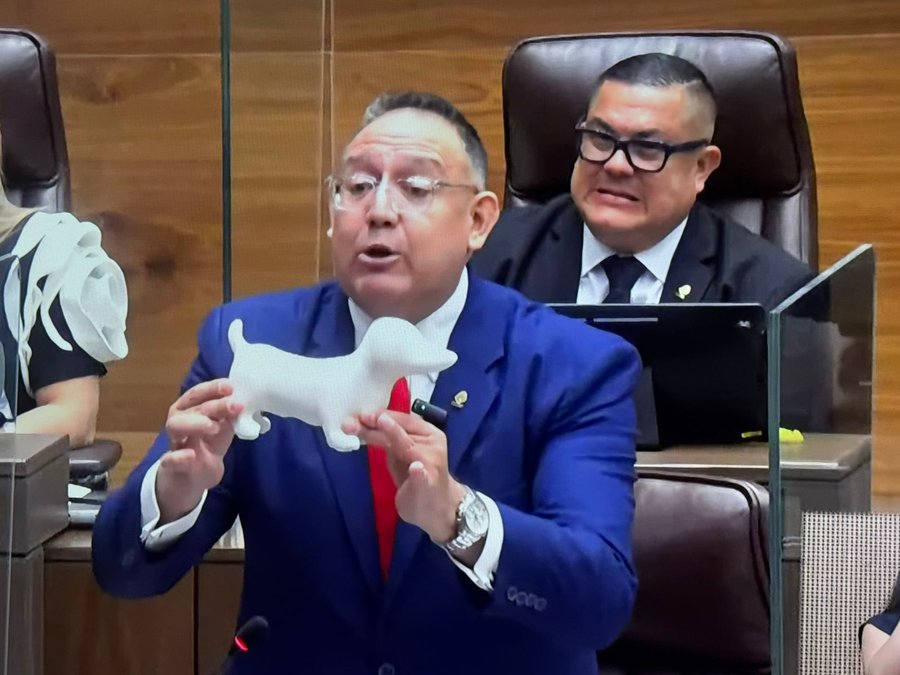 Un perro gip tiene más olor político que Juan Carlos Hidalgo

 – La nación
