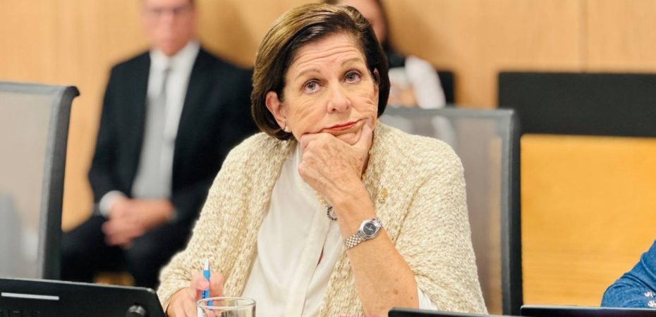 “Nos parece una contradicción”, dice Cisneros de Pilar en la disolución de TSE para continuar conferencias, pero no anunciarlas

 – La nación