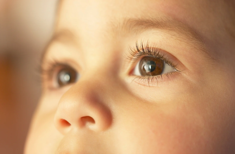 La prevención de la infancia beneficia una vida con una visión saludable

 – La nacion