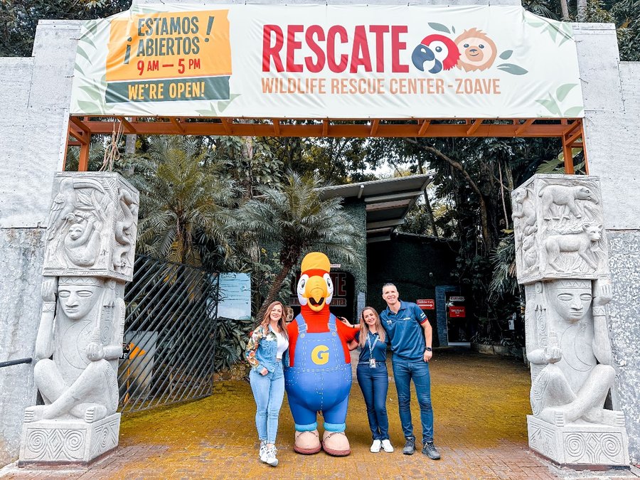 Rescate de vida silvestre y partes La guacá participa en intentos de proteger la vida silvestre

 – La nación