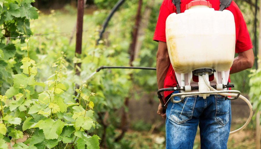 Puede revelar descenso de premios de pesticidas y alimentos equilibrados para animales

 – La nación