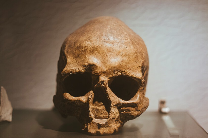 Durante un millón de años, indica que los ‘Homo sapiens’ no provienen de África

 – La nación
