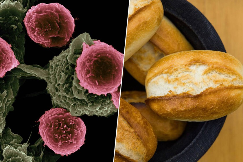 Un estudio acaba de vincularlos con un mayor riesgo de cáncer

 – La nación
