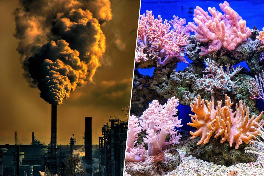 La Tierra está entrando en el colapso climático, el primer punto de no retorno. Nuestra única salvación es la tecnología.

 – La nación