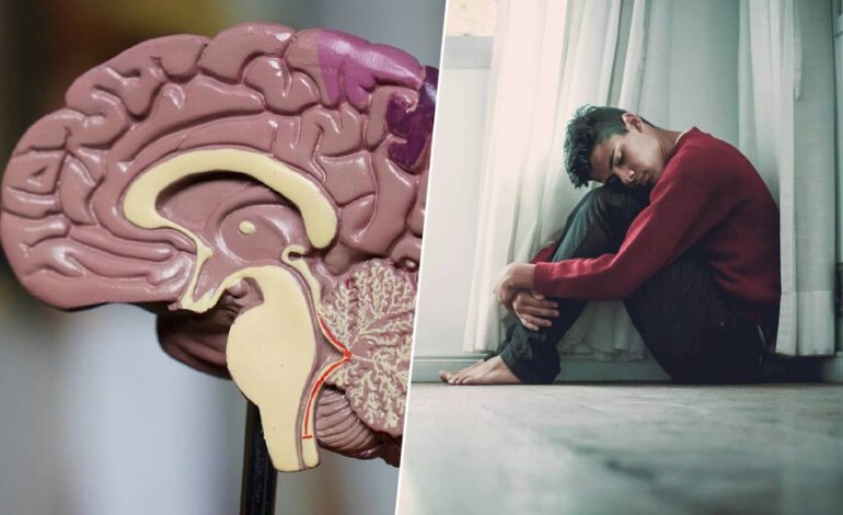 El 30% de las depresiones no responden a pastillas ni a psicoterapia. La idea de un psiquiatra: tratarte con ecografía
– La nación