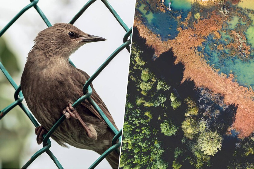 Se conservan más de 1.200 especies exóticas
 – La nación