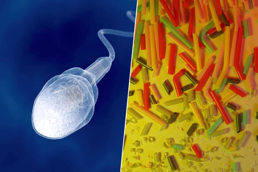 Limpiar nuestras eyaculaciones de microplásticos
 – La nación