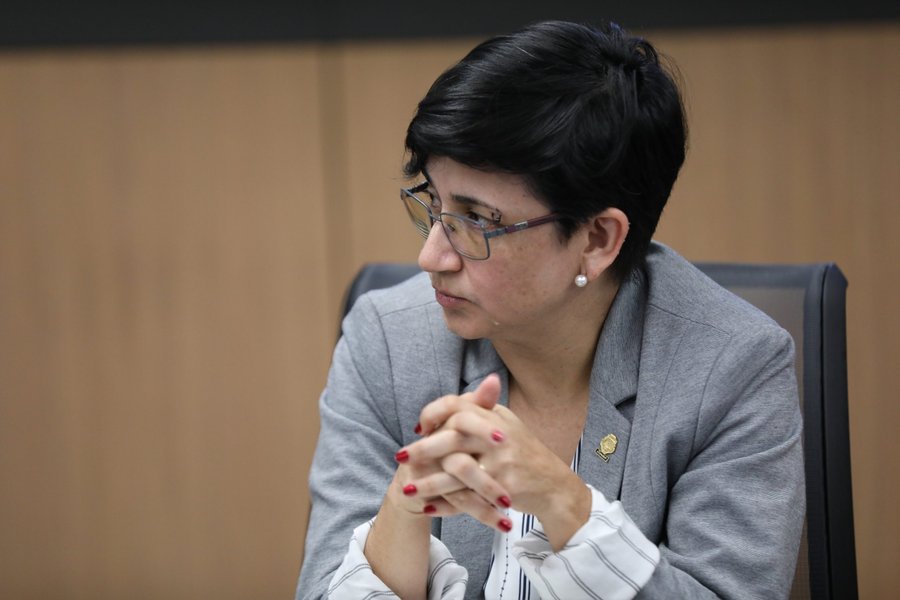 Rocío Alfaro Tilda a Fabricio Alvarado de “Pederasta”

 – La nación