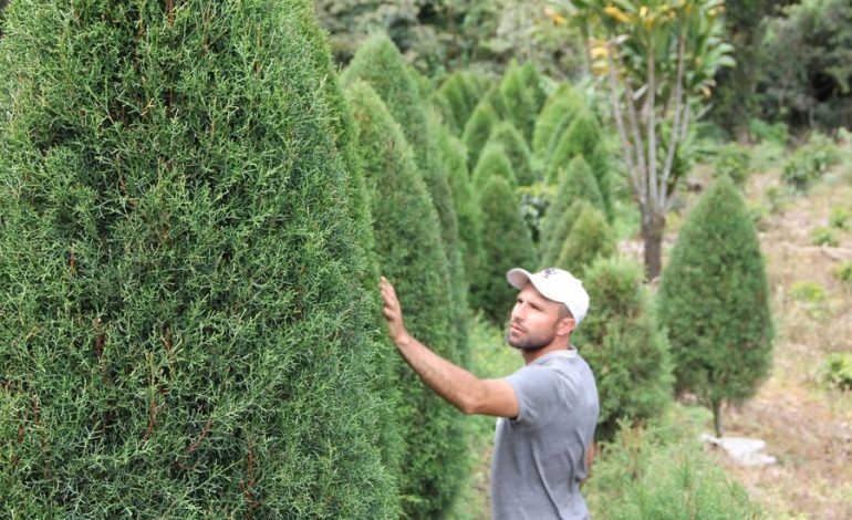 Reyman López cultiva la tradición del ciprés
 – La nacion