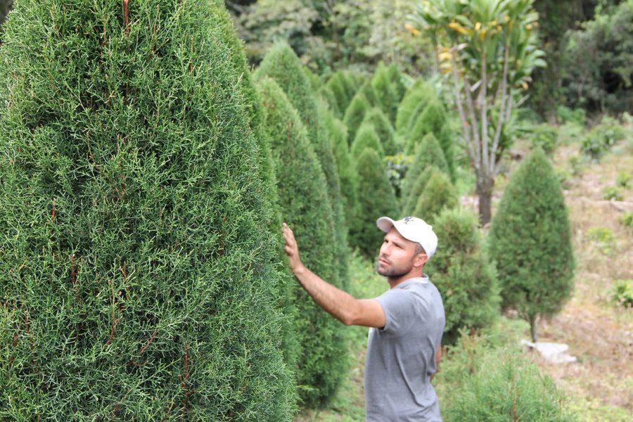 Reyman López cultiva la tradición del ciprés
 – La nacion