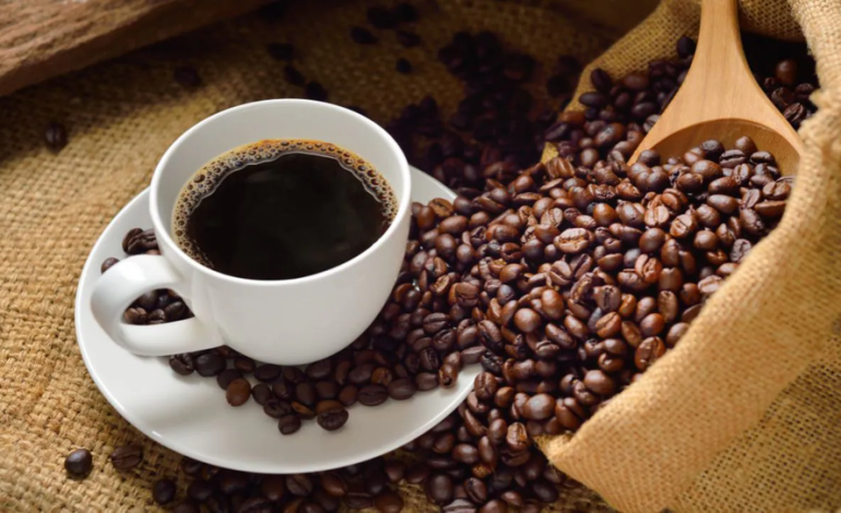 Heredia celebra la cultura del café con talleres, charlas y competencia de barismo

 – La nacion