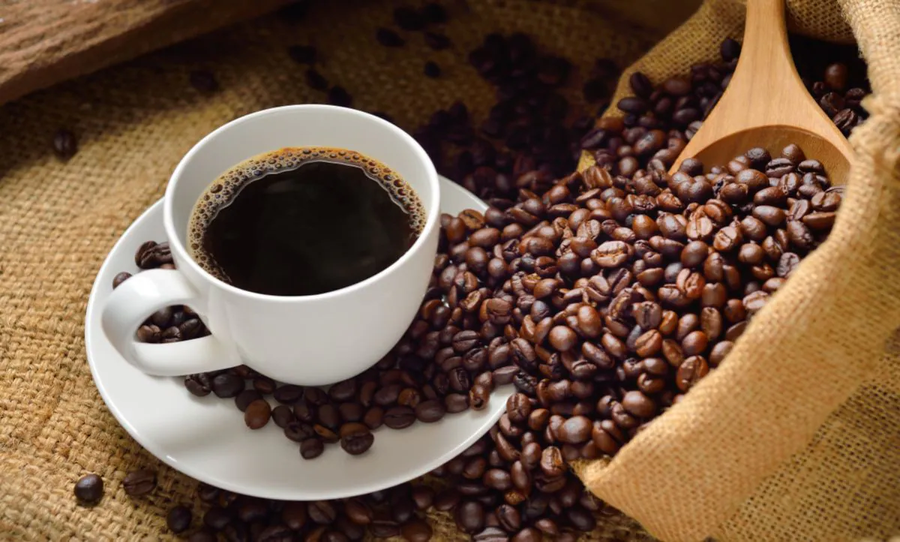 Heredia celebra la cultura del café con talleres, charlas y competencia de barismo

 – La nacion