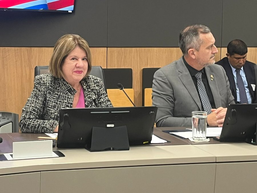 Informe forense revela que el caso de perforación se basó en un análisis erróneo del Área de Contabilidad de la Caja

 – La nación