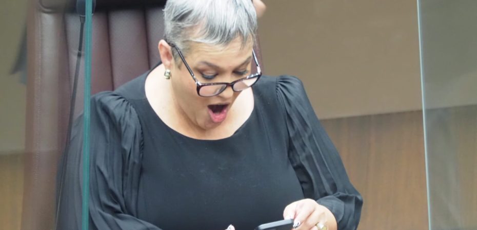 El diputado Carolina Delgado acusa a Álvaro Ramos de violencia política por sacarla de la campaña

 – La nación