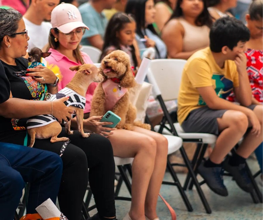 Expo Mascotería conmemorará la huella de las mascotas desaparecidas

 – La nacion