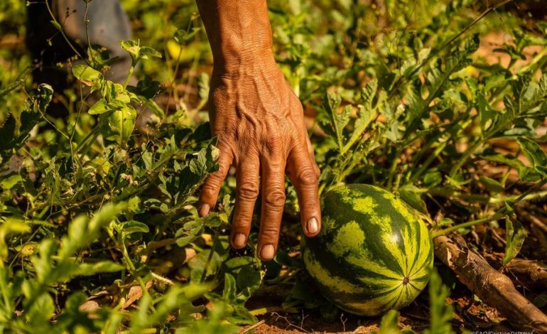 Congreso aprueba reformas al código de procedimientos agrarios para agilizar la justicia agraria
– La nación