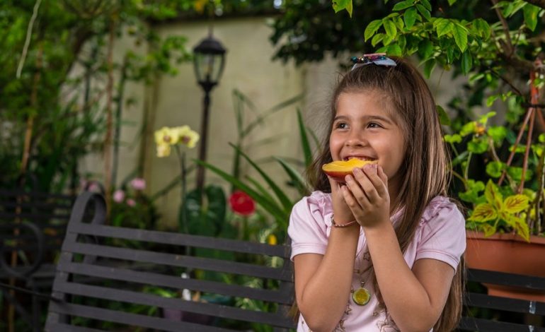 Más de 1.600 personas de 14 países formación completa impulsada por la Red de Alimentación Escolar Sostenible
– La nación
