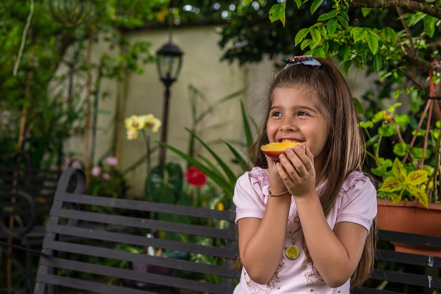Más de 1.600 personas de 14 países formación completa impulsada por la Red de Alimentación Escolar Sostenible

 – La nación