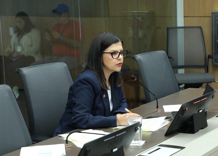 ¿Por qué se suspendió el presidente de en Gabriela Chacón? Explicamos el asunto

 – La nación