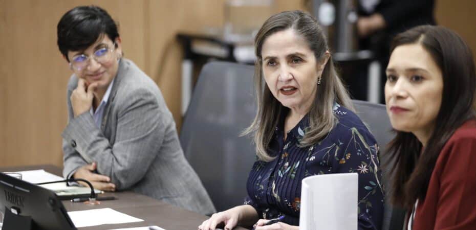 Un comité ejecutivo que verá aprobada la inmunidad del presidente y lo citará para interrogarlo; aún no hay fecha
 – La nación