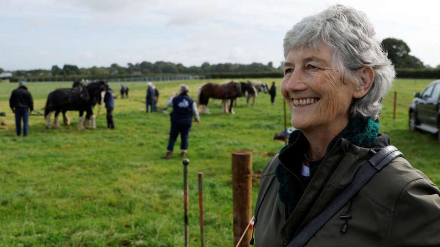 Pocos candidatos y una favorita, la izquierdista Catherine Connolly.
 – La nación