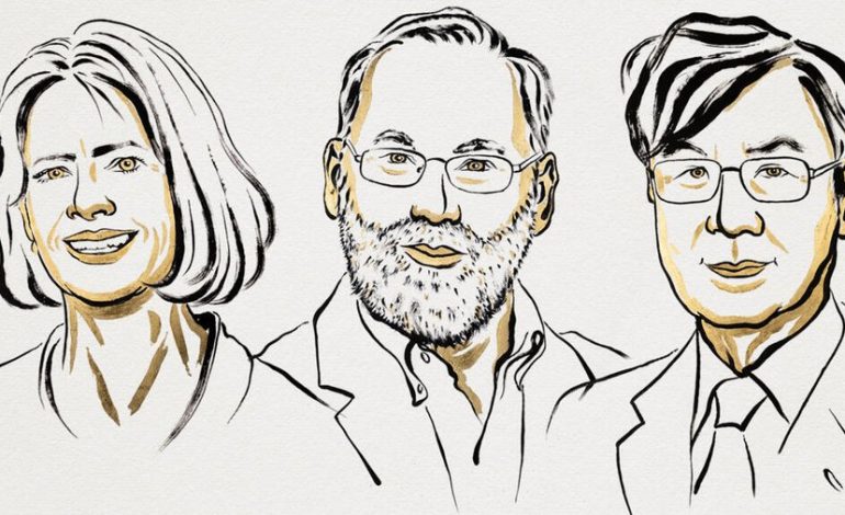 Brunkow, Ramsdell y Sakaguchi ganan el Premio Nobel de Medicina por examinar el sistema inmunitario

 – La nación